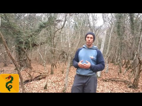 Видео: Шавкат об армии и тюрьме. Как защититься от несправедливости госструктур