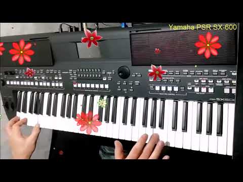 Видео: CC Catch - I can loose my heart tonight cover на синтезаторе Yamaha PSR SX-600