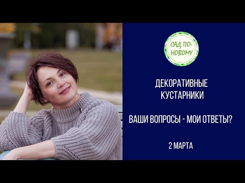 Видео: Декоративные кустарники. Вопрос — ответ