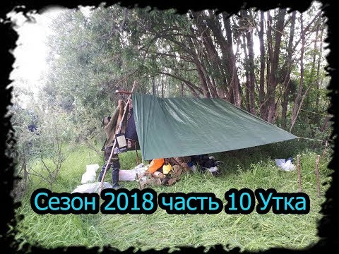 Видео: 4 месяца в тайге. Сезон 2018 часть 10. Жарим утку, Полярный круг bushcraft.