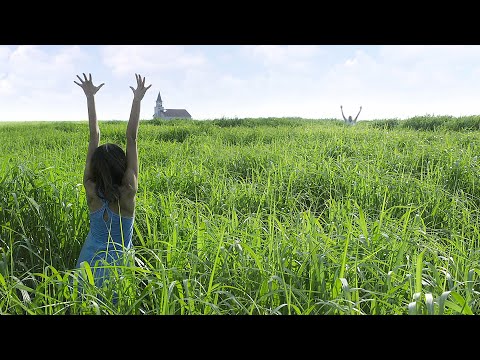 Видео: Парочка не может выбраться из бескрайнего поля с высокой травой