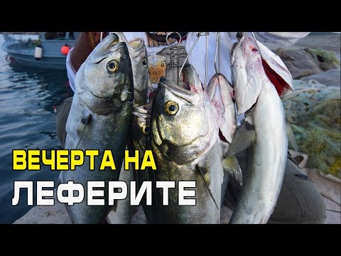 Видео: Вечерта на леферите