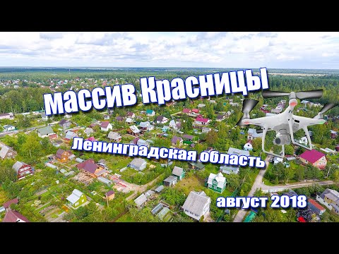 Видео: Небольшой обзор Массив Красницы Ленинградская область Гатчинский район. Съемка с высоты Phantom 4