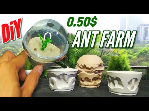 Видео: НОМЕР 3 | D-колония