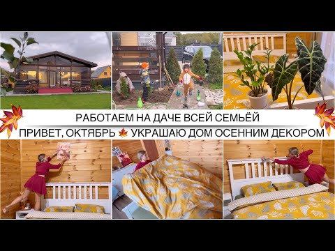Видео: ОСЕННИЙ ДЕКОР В ДЕРЕВЯННОМ ДОМЕ 🍁 Купила посуду, о которой мечтала / Работаем на участке всей семьёй