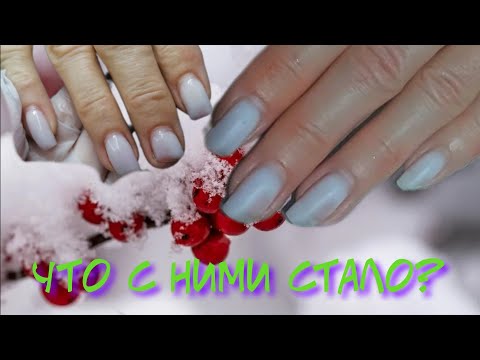 Видео: что с ними стало?