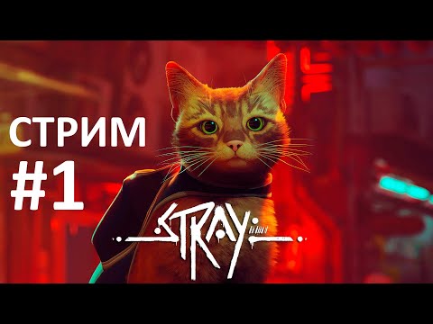 Видео: [СТРИМ] Stray - Киберпанк и Котики | Прохождение #1