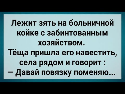 Видео: Как Теща Зятю Повязку Меняла! Сборник Свежих Анекдотов! Юмор!.