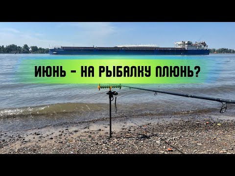 Видео: РЫБАЛКА ФИДЕРОМ НА ДОНУ. ТАКОГО УЛОВА НИКТО НЕ ОЖИДАЛ. РЫБАЛКА В ИЮНЕ-МИФ ИЛИ НЕТ?