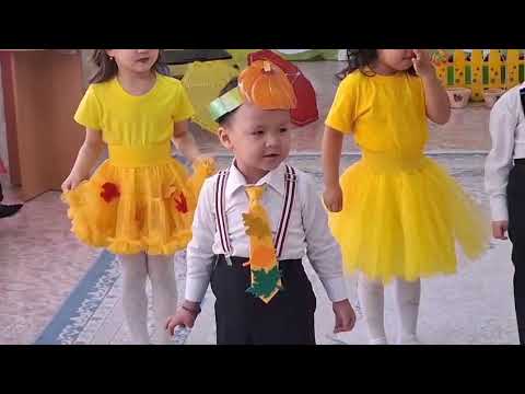 Видео: 25 октября 2025 г.