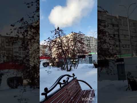 Видео: Похоже намечается установка избушки,зачем она??#ноябрь#городская жизнь#птицы#влог #