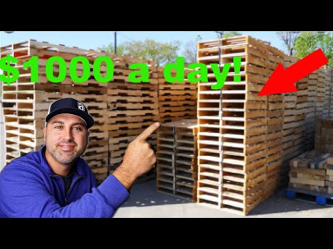 Видео: Как зарабатывать 1000 долларов в день, занимаясь этим....! (это СЕКРЕТ!)