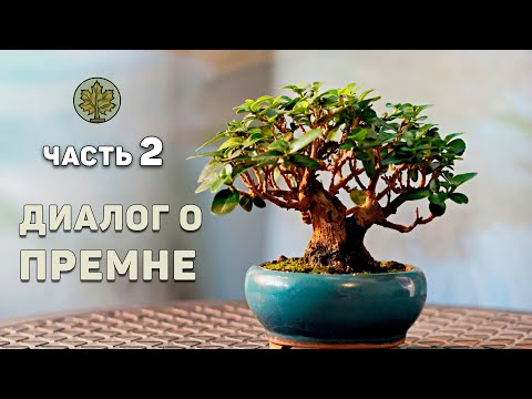Видео: Диалог о премне   (часть 2)