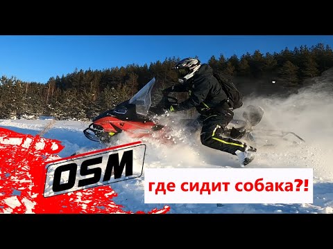 Видео: Снегоход ОСМ СМ 1000 - сколько жрёт, прёт, как охлаждается и где сидит собака - полная версия теста!