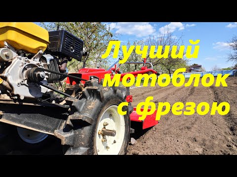 Видео: МОТОБЛОК С АКТИВНОЙ ФРЕЗОЙ, ЭТОМУ МОТОБЛОКУ нет РАВНЫХ!