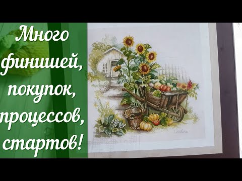 Видео: Вышивка крестом. Итоги 3х месяцев.