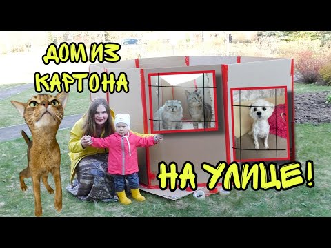 Видео: 24 часа В КАРТОННОМ ДОМЕ НА УЛИЦЕ с питомцами и малышкой!