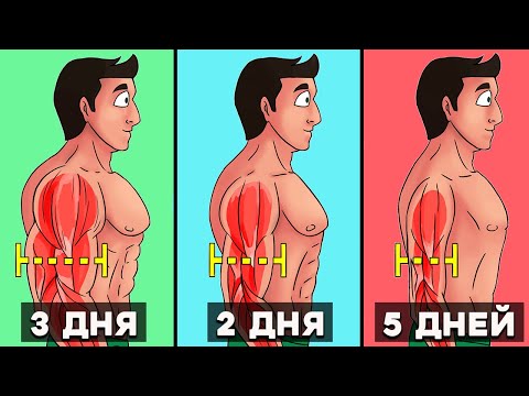 Видео: Сколько раз в неделю нужно Тренироваться