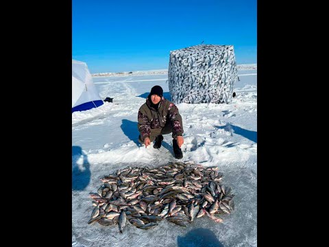 Видео: БАЛХАШ 18.01.2023 | УЛКЕН | КВАДРАТЫ | РОЗЫГРЫШ ПЕЧКИ ДЛЯ ПАЛАТКИ