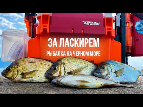 Видео: ЖАДНЫЕ АТАКИ ЛАСКИРЯ продолжаются! Утренняя рыбалка на Черном море. Ловля ласкиря на силикон.