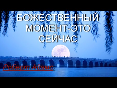 Видео: Божественный момент-это СЕЙЧАС [Р.Адамс, озв. Никошо]