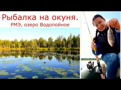 Видео: 415. Рыбалка на окуня. Озеро Водопойное. РМЭ.10.07.2019. ЗоЛиКс