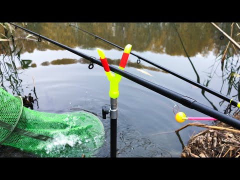 Видео: Трудовая РЫБАЛКА в НОЯБРЕ на Фидер, Поплавок! Рыбалка на Реке Северский Донец