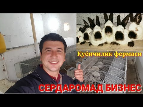 Видео: ҚУЁН ФЕРМА ТАШКИЛ ЭТИШ КИМГА ҚУЁН КЕРАК БУЛСА