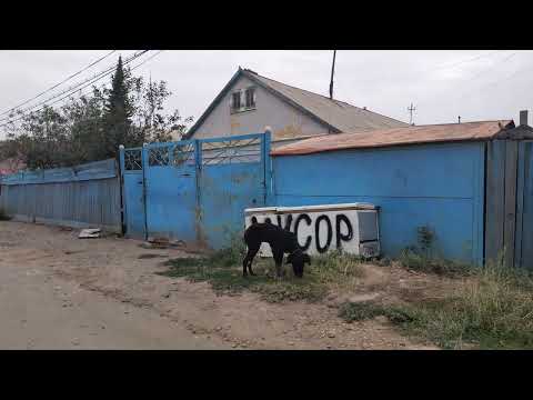 Видео: По дворам г. Сатпаева / ул. Женис