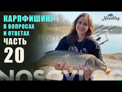 Видео: Карпфишинг в вопросах и ответах, А  Колесников, выпуск 20