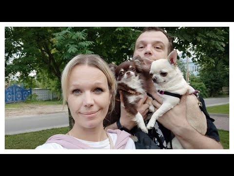 Видео: Вместе по Магазинам 🎉 Галамарт Порадовал 🎁 Закупились для рецепта ✅ Супер Быстро и Вкусно 🥰👍