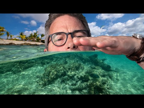 Видео: Советы по съемке отдельных кадров с использованием подводного бокса