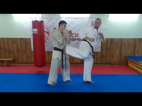 Видео: Удар ногой с разворота - Уширо Гери