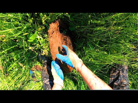 Видео: На краю этого поля сбрасывали металл! Коп металла летом по высокой траве.
