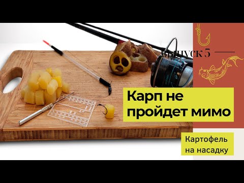 Видео: Уловистая и бюджетная насадка на КАРПА из картофеля | Насадка картофеля на волос