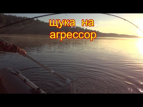 Видео: ЩУКА НА АГРЕССОР ОТ ГЕРМАНА. Середина сентября на Верхней Волге.