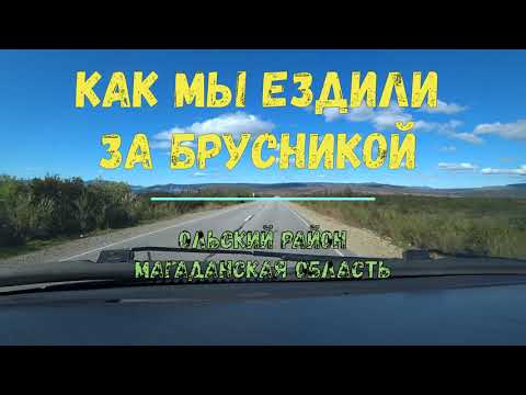 Видео: КАК МЫ ЕЗДИЛИ ЗА БРУСНИКОЙ НА СОПКУ ПОД СТЕКОЛЬНЫЙ. МАГАДАНСКАЯ ОБЛАСТЬ.