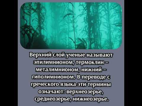 Видео: Что такое термоклин