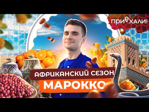 Видео: МАРОККО | Со змеями в кармане, самый синий город и "жидкое золото" в банке | Приехали!