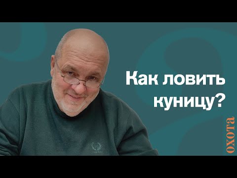 Видео: Капкан на куницу. Валерий Кузенков о капканной ловле куницы.