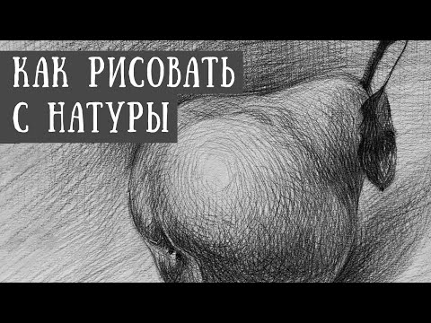 Видео: Рисунок с натуры. Груша.
