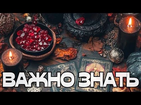 Видео: 🚨ВАЖНО ЗНАТЬ‼️