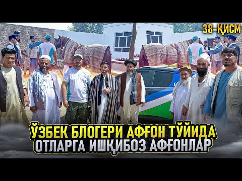 Видео: Ўзбек блогери афғон тўйида. Отларга ишқибоз афғонлар