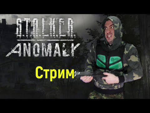 Видео: Играем в #STALKER Anomaly 1.5.3. Интерактивный Стрим