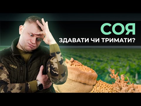 Видео: СОЯ 2024. СКІЛЬКИ НАВИРОЩУВАЛИ? ЗДАВАТИ ЧИ ТРИМАТИ?