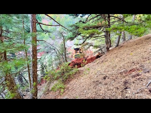 Видео: Как бульдозер Caterpillar D7 расчищает новый путь на крутой местности #caterpillar #bulldozer