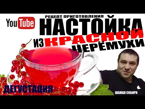 Видео: Домашняя Настойка Из Красной Черёмухи! Быстрый И Простой Рецепт Приготовления! Дегустация!