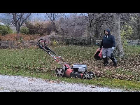 Видео: газоной косилкой собираю листья . взаимная подписка . открытый чат