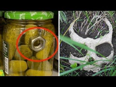 Видео: 50 очень странных находок