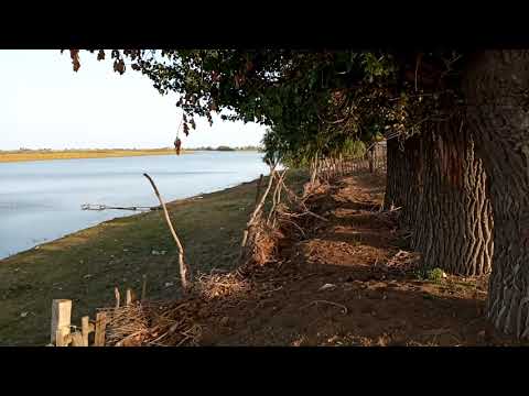 Видео: Село кудряшово 27 09 20г.